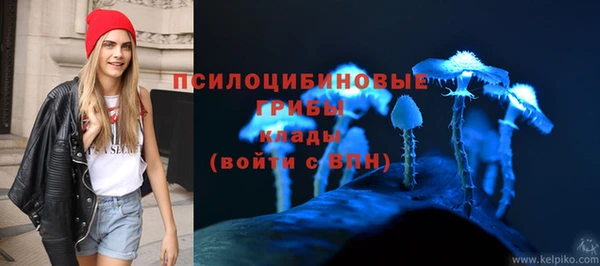 синтетический гашиш Алексин