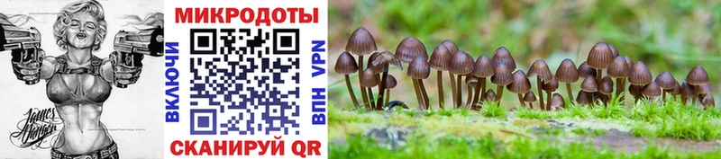 где купить наркоту  Переславль-Залесский  Галлюциногенные грибы Cubensis 