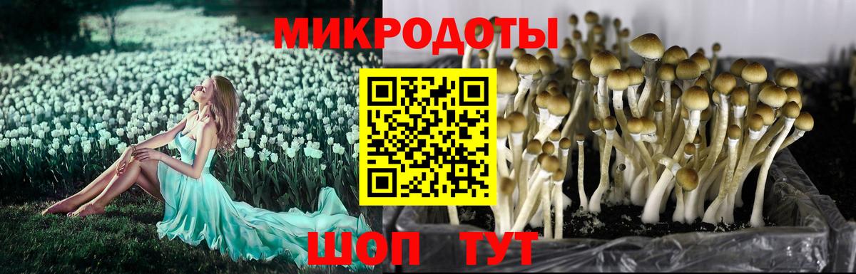 Псилоцибиновые грибы Psilocybe  Галлюциногенные грибы Magic Shrooms  Переславль-Залесский  Вход с VPN 