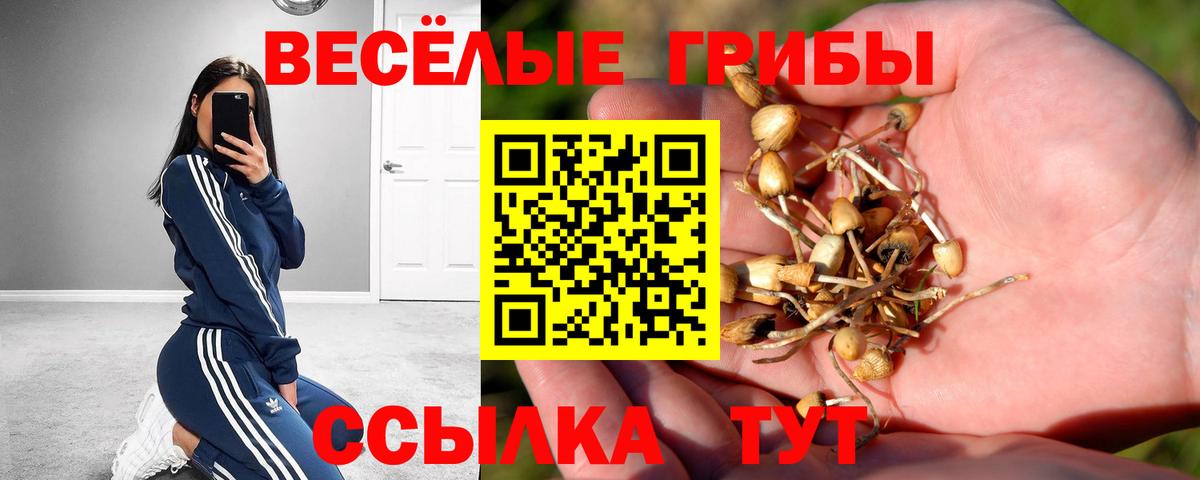 Псилоцибиновые грибы мицелий Переславль-Залесский